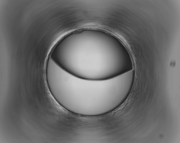 X0000095541392200712141014