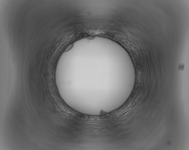 X0000095541393200712141013