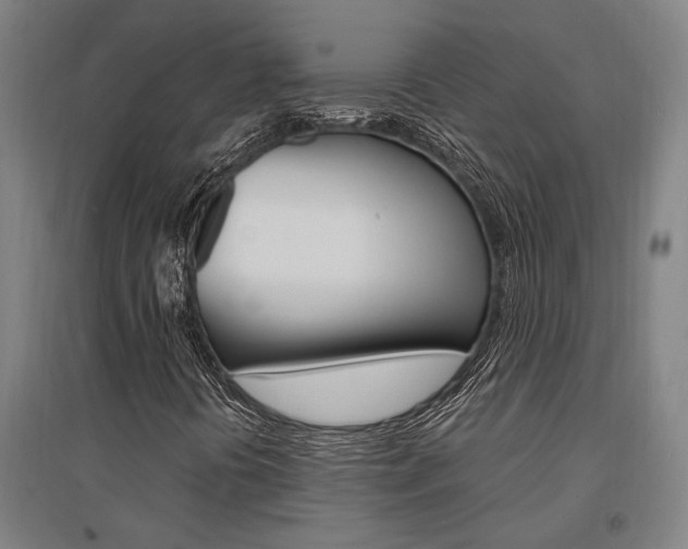 X0000095541394200712141013