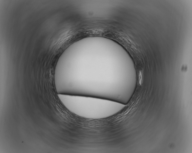 X0000095541395200712141013