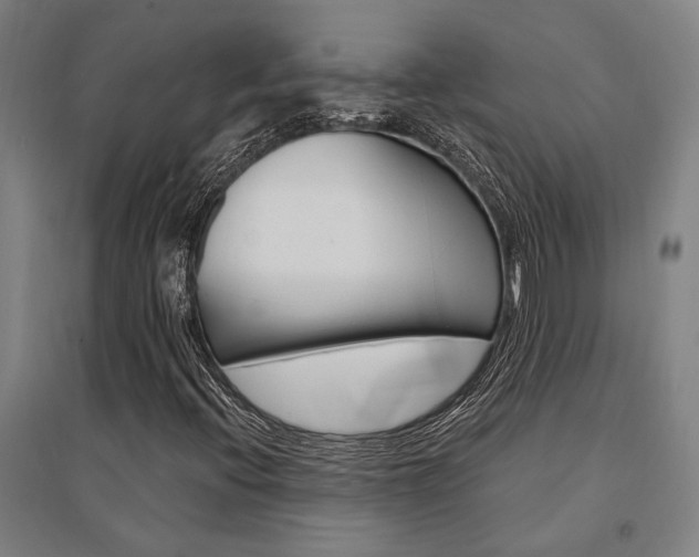 X0000095541396200712141013