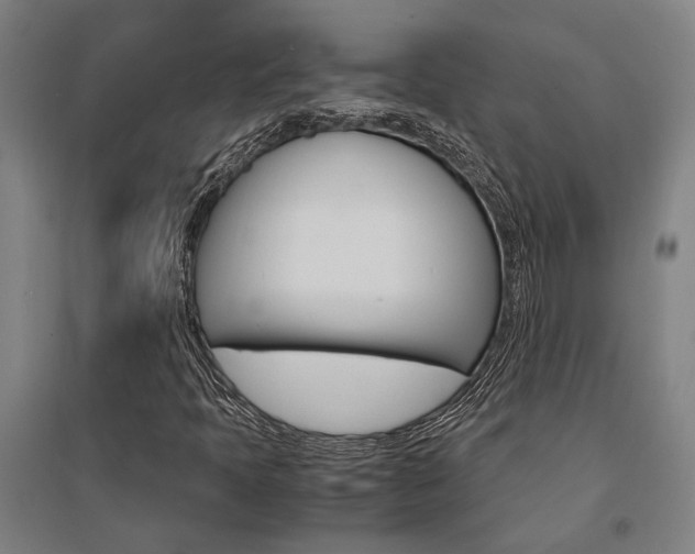 X0000095541397200712141013