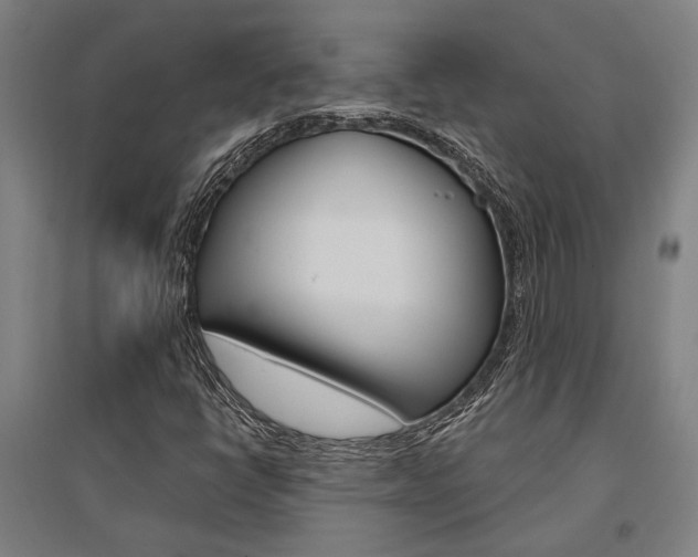 X0000095541398200712141013