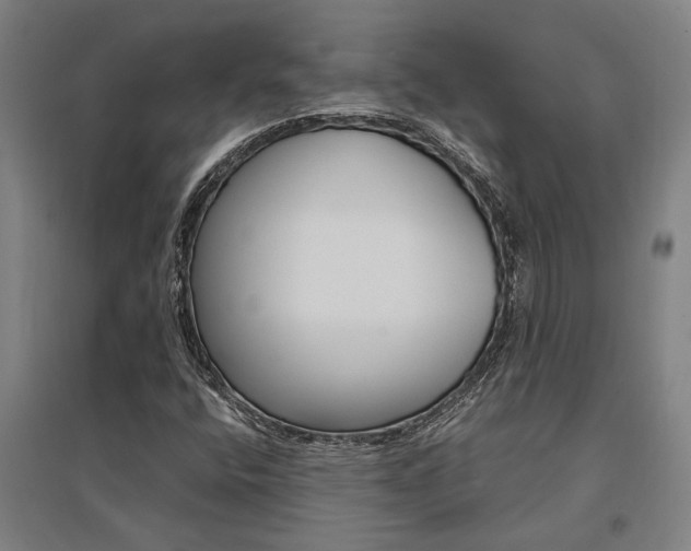 X0000095541400200712141013