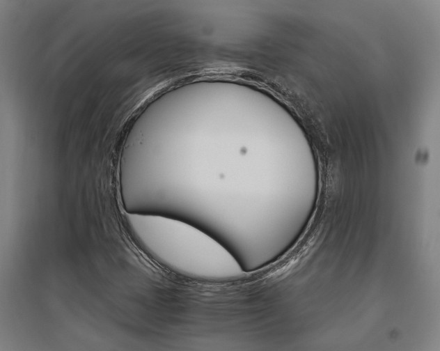 X0000095541401200712141013