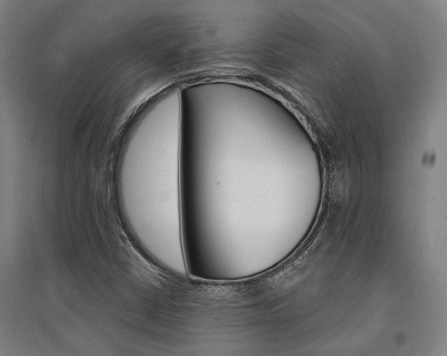 X0000095541402200712141013