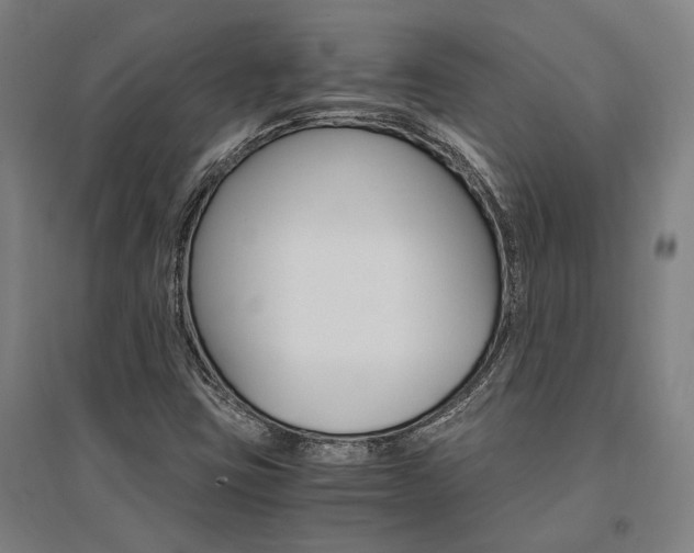 X0000095541403200712141013