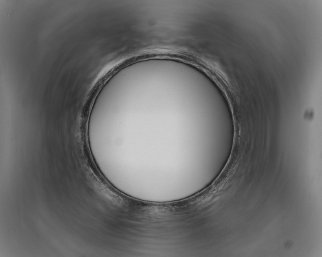 X0000095541404200712141013