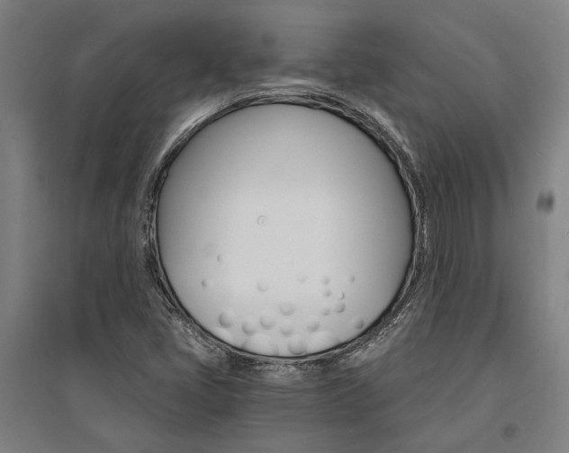 X0000095541405200712141013