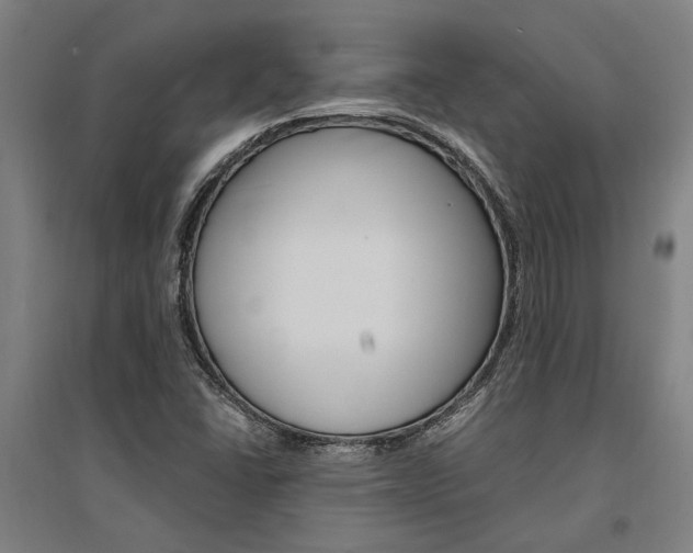 X0000095541406200712141013