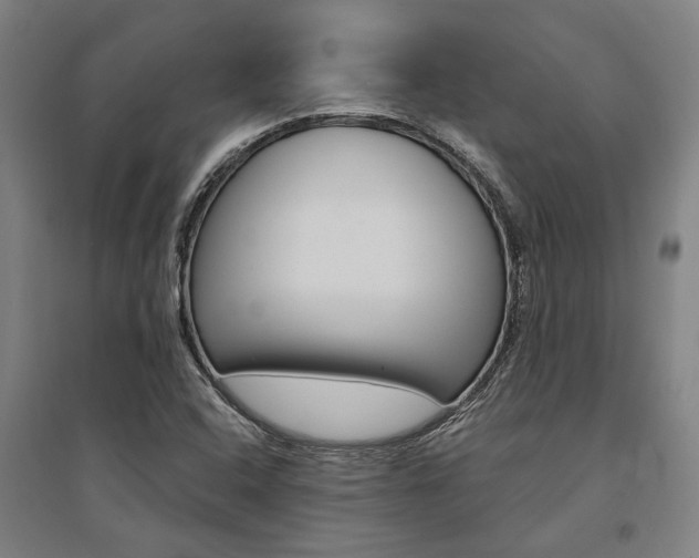X0000095541408200712141013
