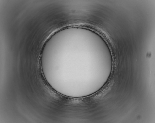 X0000095541409200712141013