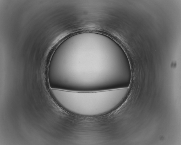 X0000095541410200712141013