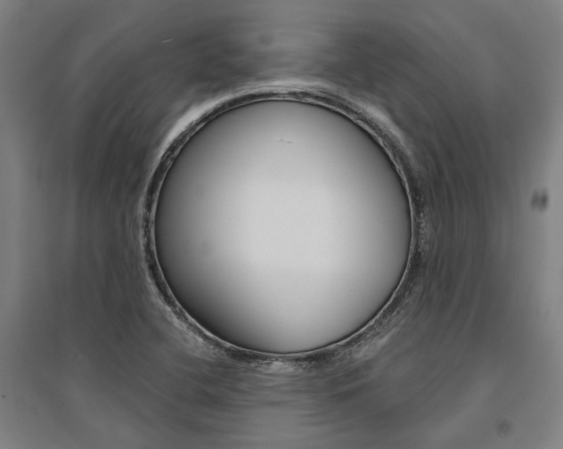 X0000095541412200712141013
