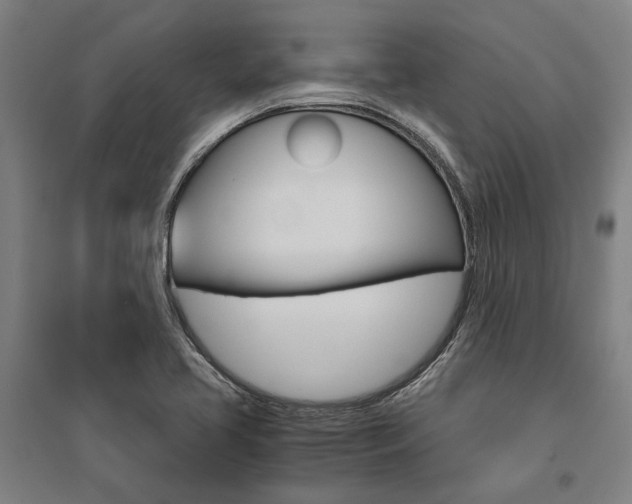 X0000095541413200712141013