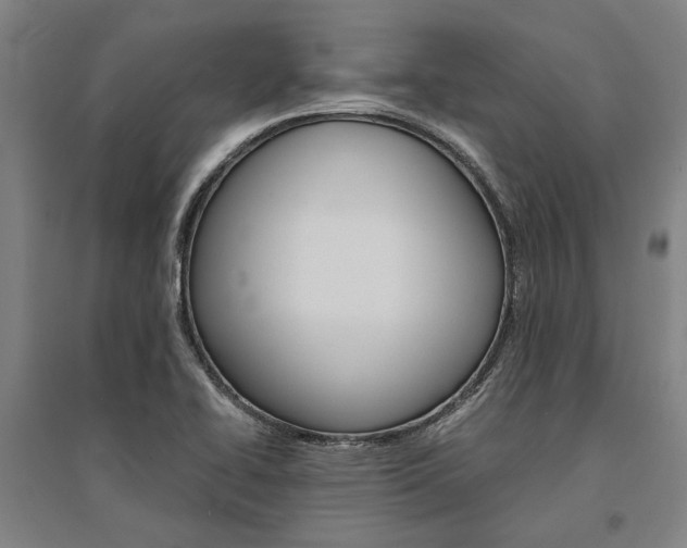 X0000095541414200712141013