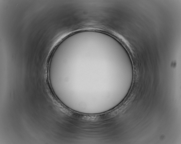 X0000095541415200712141013