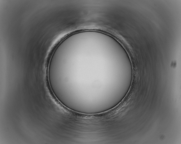 X0000095541416200712141013