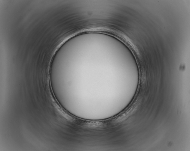 X0000095541417200712141013
