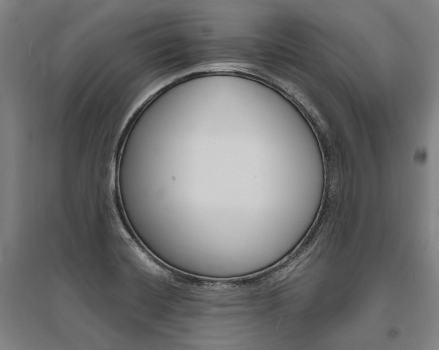 X0000095541420200712141013