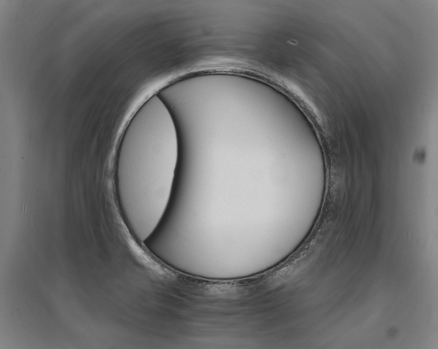 X0000095541421200712141013