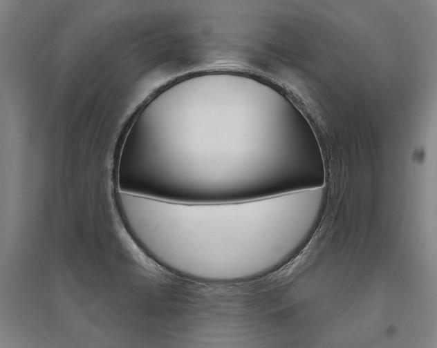 X0000095541422200712141013