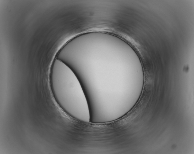 X0000095541423200712141013