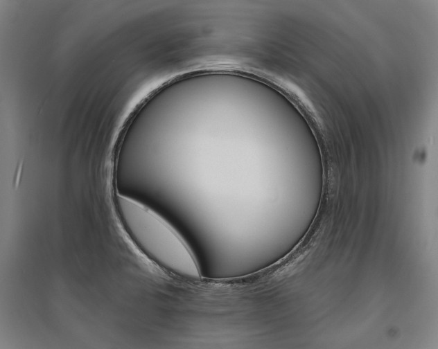 X0000095541424200712141013