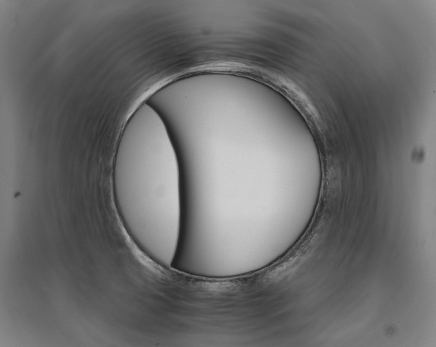X0000095541425200712141013