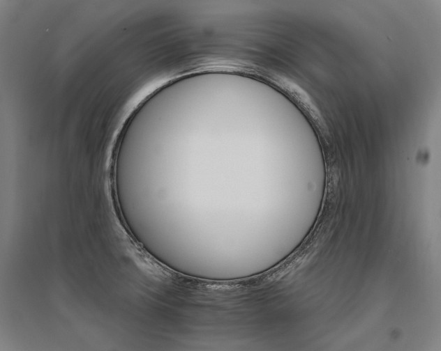 X0000095541427200712141013