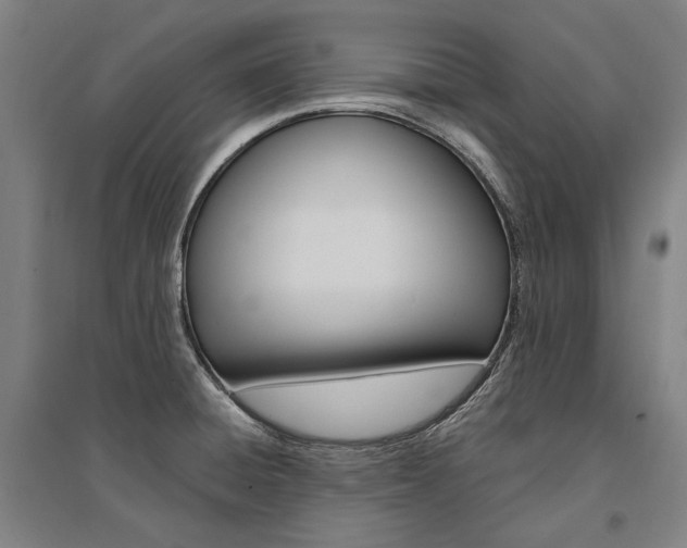 X0000095541428200712141013