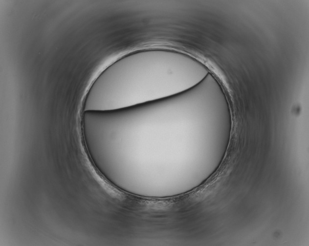 X0000095541429200712141013