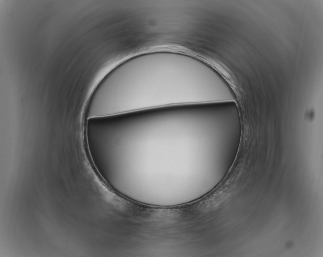 X0000095541430200712141013