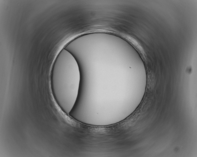 X0000095541431200712141013