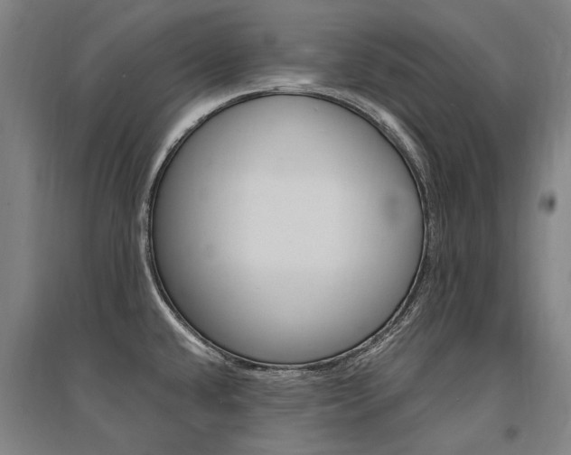 X0000095541432200712141013