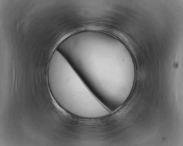 X0000095541433200712141014
