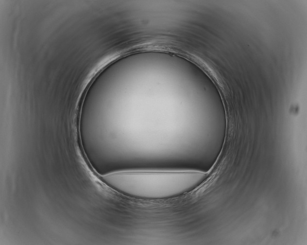 X0000095541434200712141014