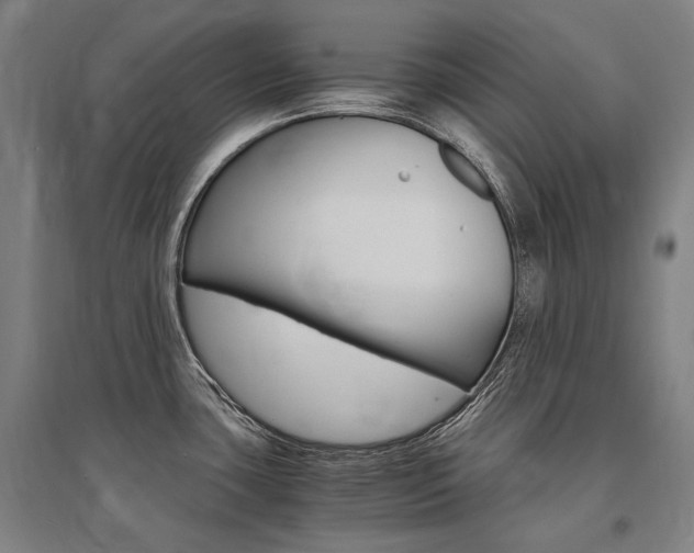 X0000095541435200712141014