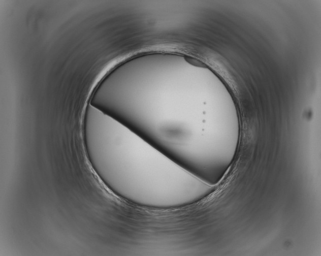 X0000095541436200712141014