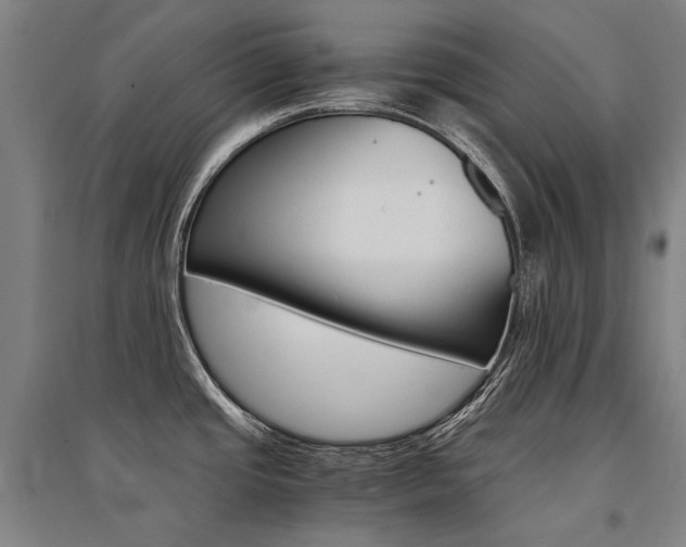 X0000095541437200712141014