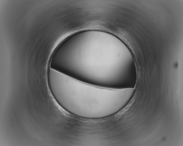X0000095541438200712141014