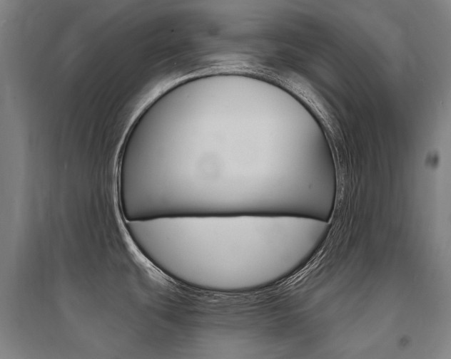 X0000095541439200712141014