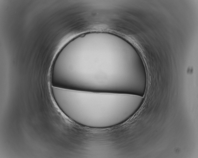 X0000095541440200712141014
