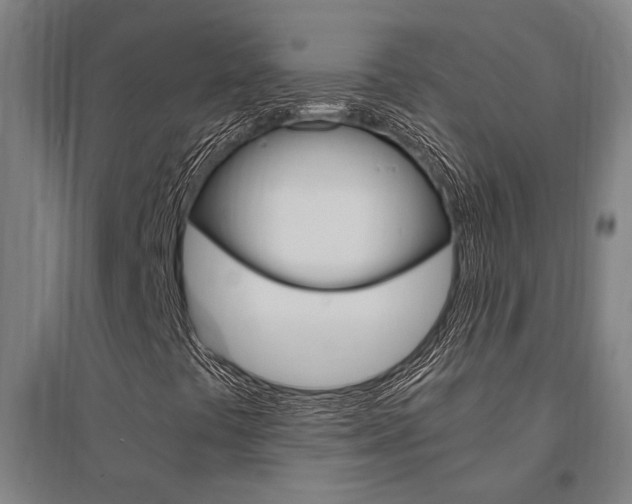 X0000095541441200712141013