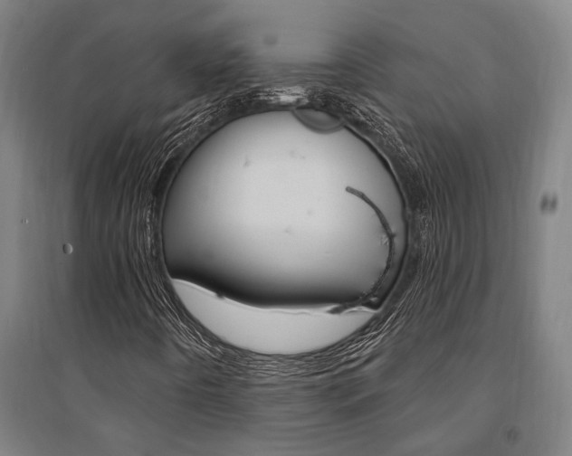 X0000095541442200712141013