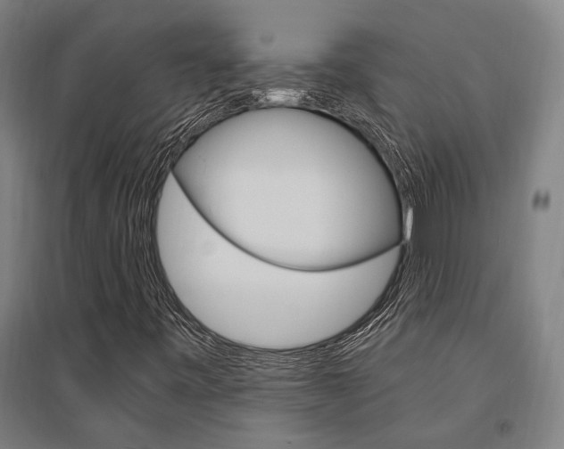 X0000095541443200712141013