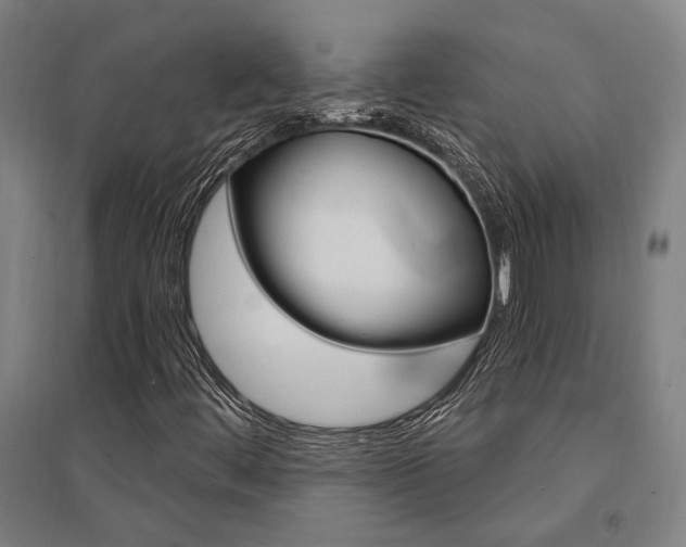 X0000095541444200712141013