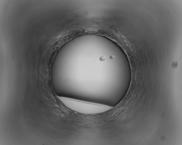 X0000095541445200712141013