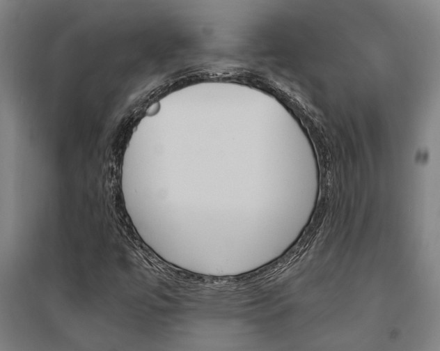 X0000095541447200712141013