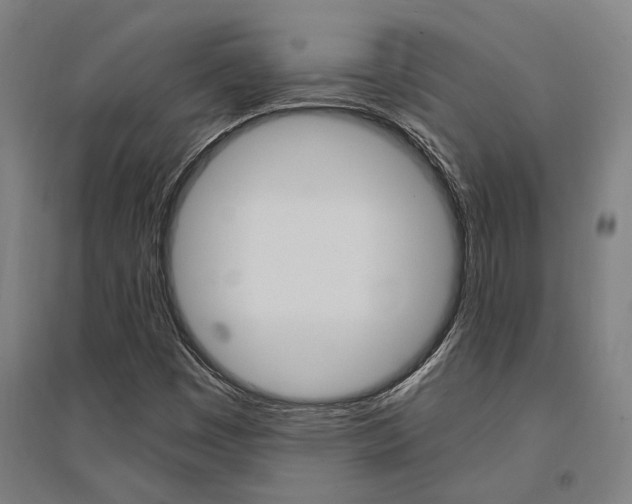 X0000095541449200712141013